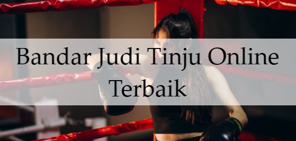 Bandar Judi Tinju Online Terbaik 